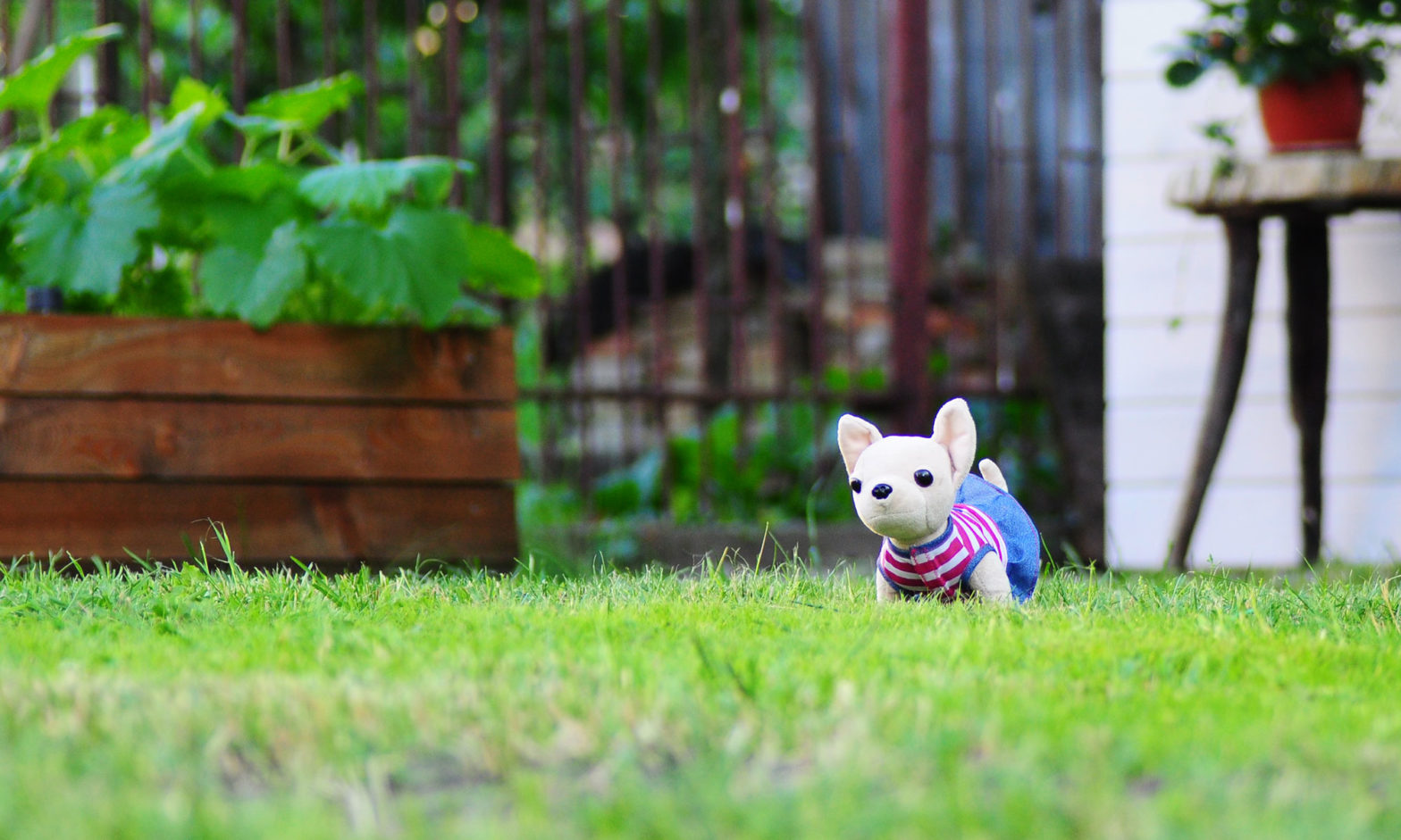 Hello world!